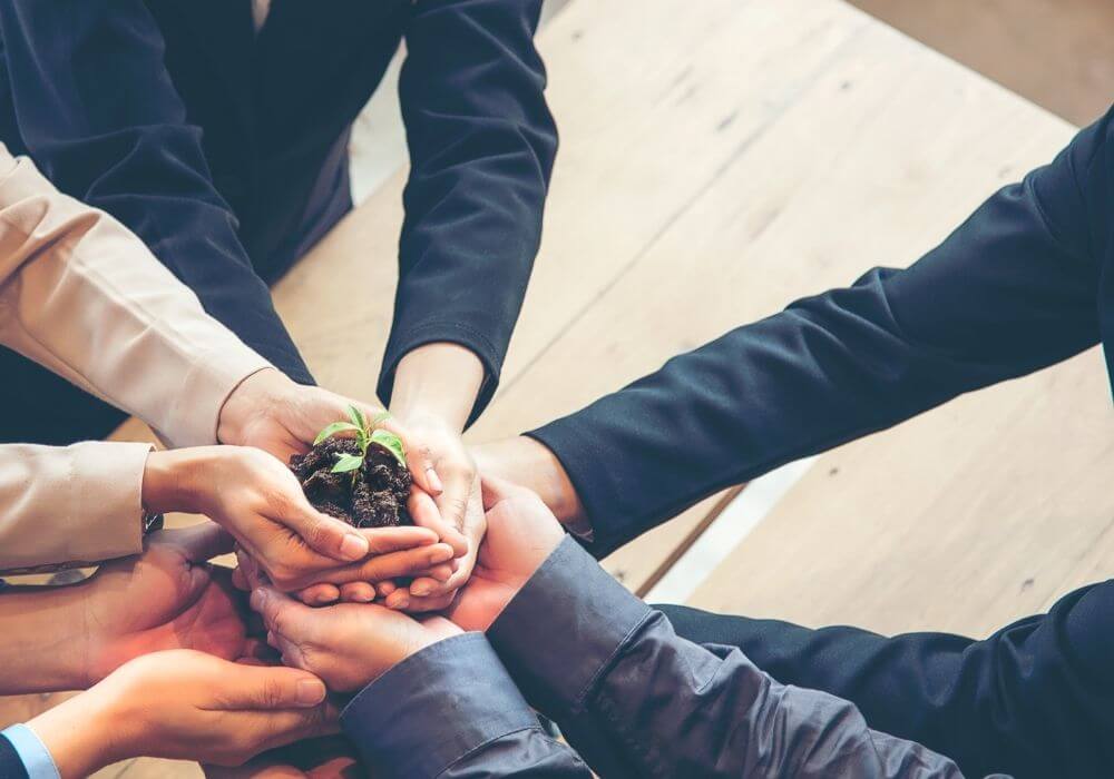 strong partnership and teamwork